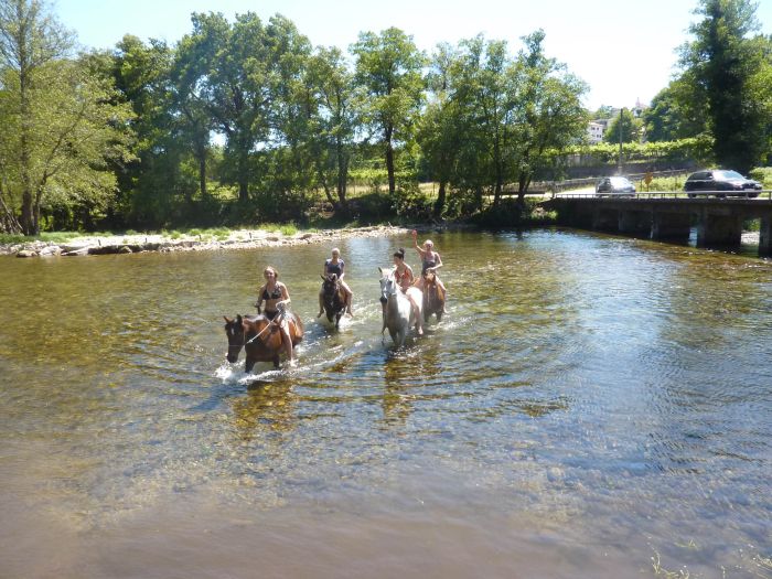 Wild horses adventure trail