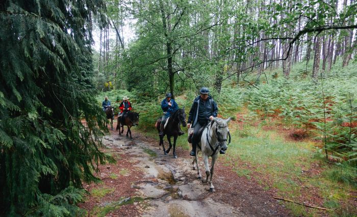 Wild horses adventure trail