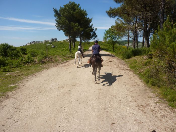 Wild horses adventure trail