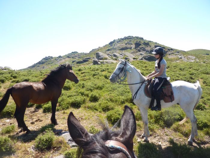 Wild horses adventure trail