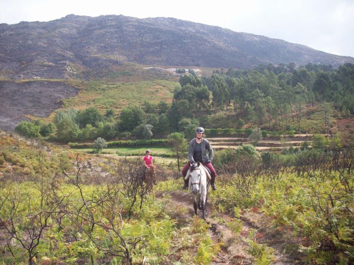 Wild horses adventure trail