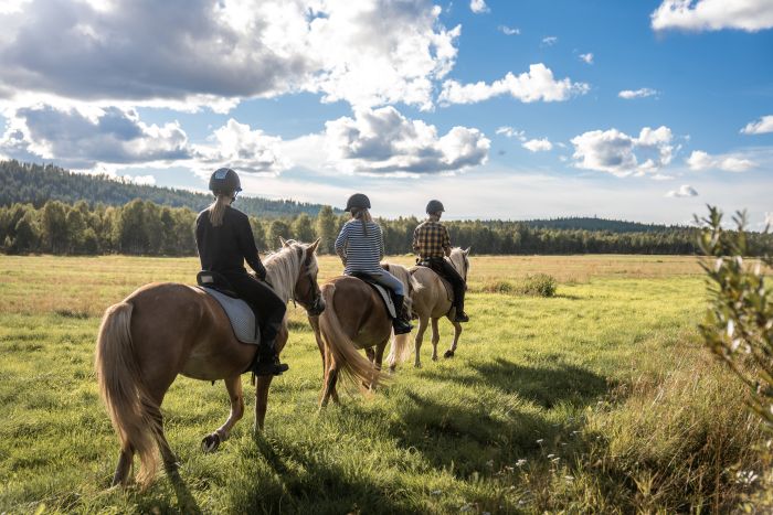 Lappish Wilderness &ndash; Horseback riding & archery in Finland