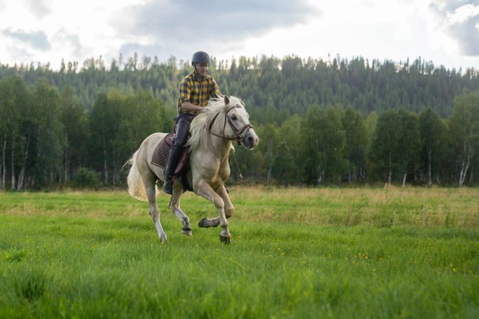 Lappish Wilderness &ndash; Horseback riding & archery in Finland