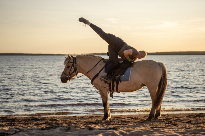 Lappish Wilderness &ndash; Horseback riding & archery in Finland