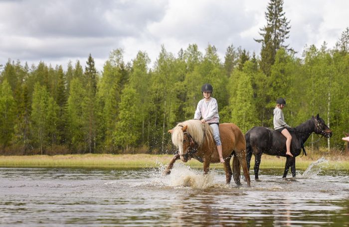 Lappish Wilderness &ndash; Horseback riding & archery in Finland