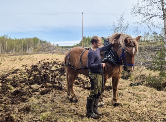 Lappish Wilderness &ndash; Horseback riding & archery in Finland