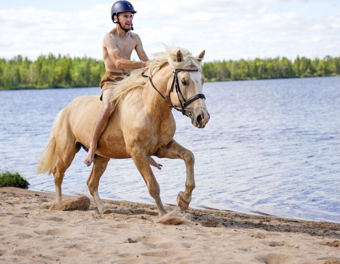 Lappish Wilderness &ndash; Horseback riding & archery in Finland