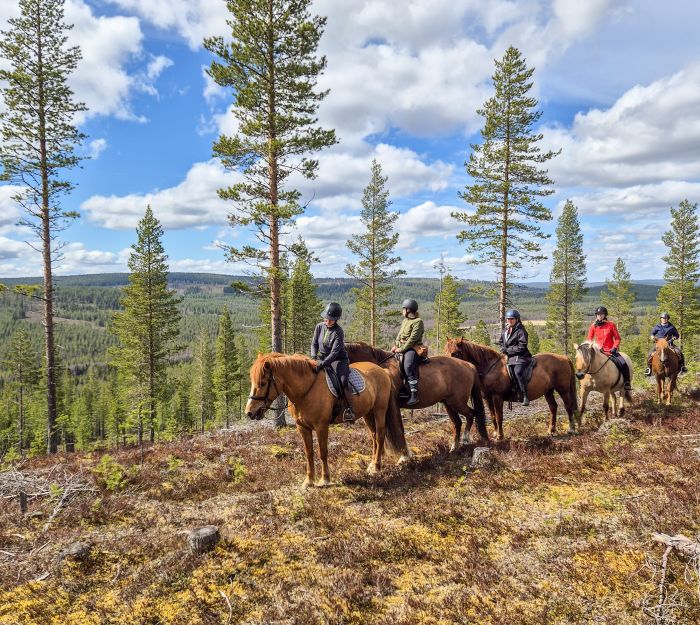 Lappish Wilderness &ndash; Horseback riding & archery in Finland