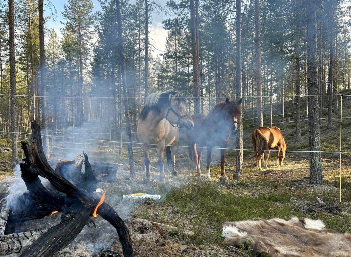 Lappish Wilderness &ndash; Horseback riding & archery in Finland