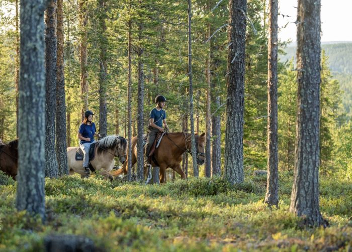 Lappish Wilderness &ndash; Horseback riding & archery in Finland