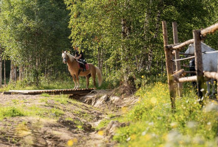 Lappish Wilderness &ndash; Horseback riding & archery in Finland
