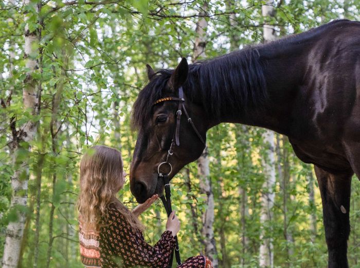Lappish Wilderness &ndash; Horseback riding & archery in Finland