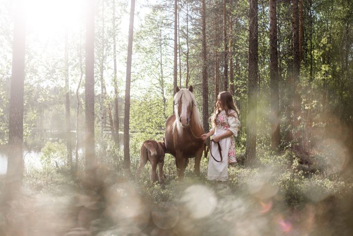 Lappish Wilderness &ndash; Horseback riding & archery in Finland