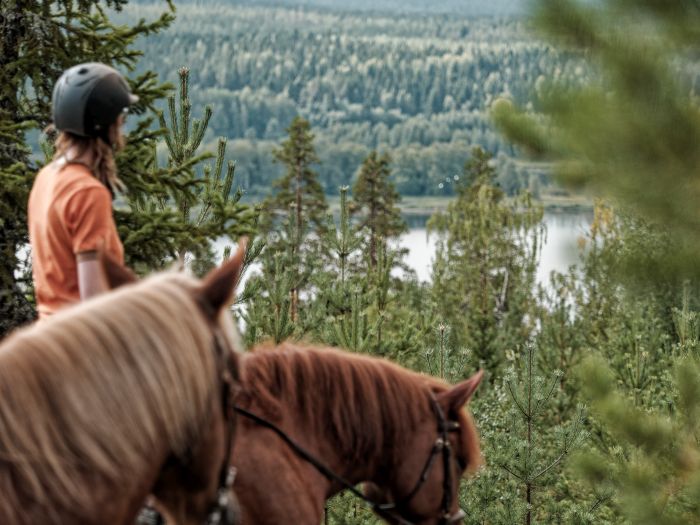 North Karelia's magic