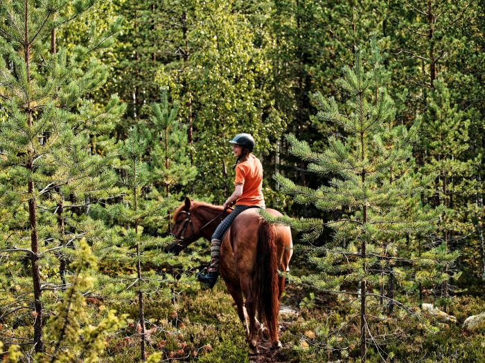 North Karelia's magic
