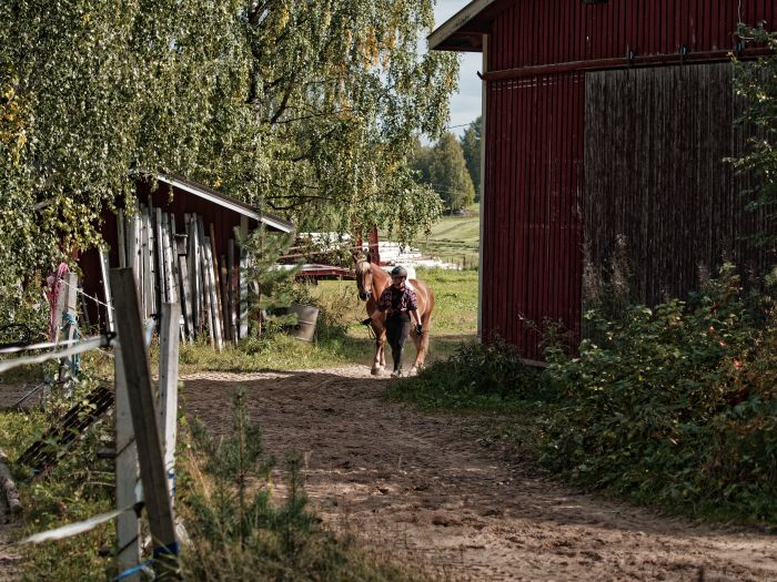North Karelia's magic