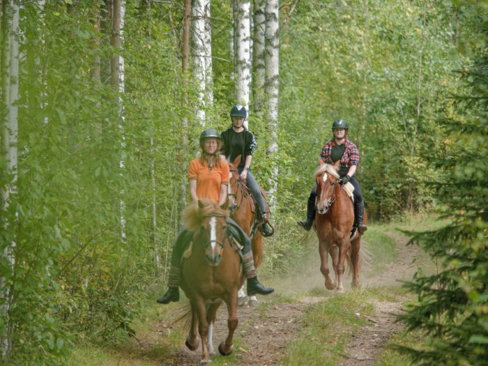 North Karelia's magic