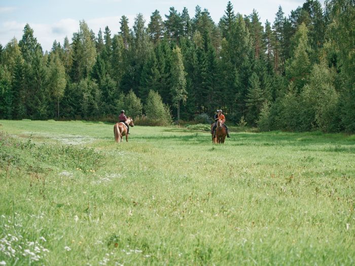 North Karelia's magic