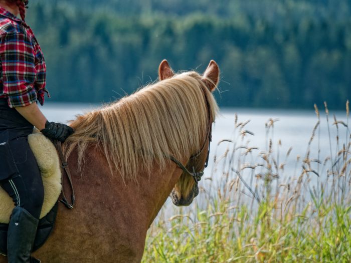 North Karelia's magic