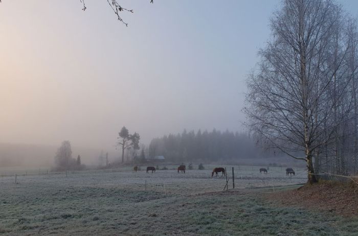 North Karelia's magic