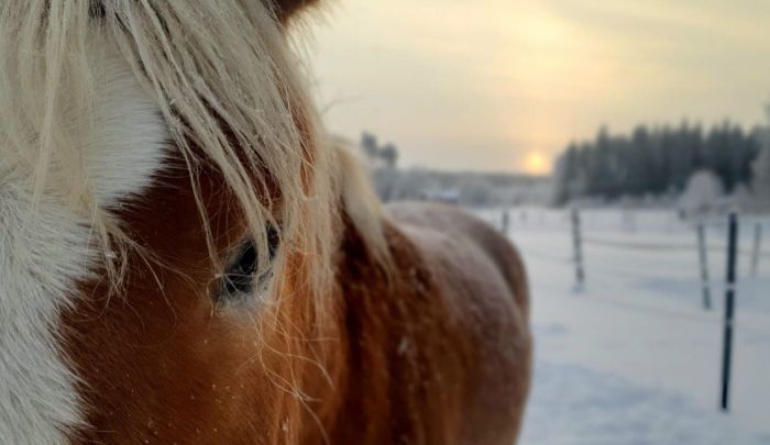 North Karelia's magic