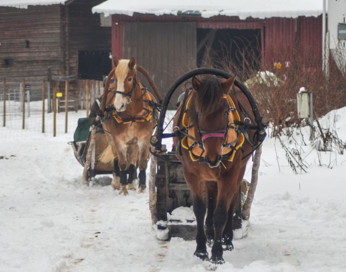 North Karelia's magic