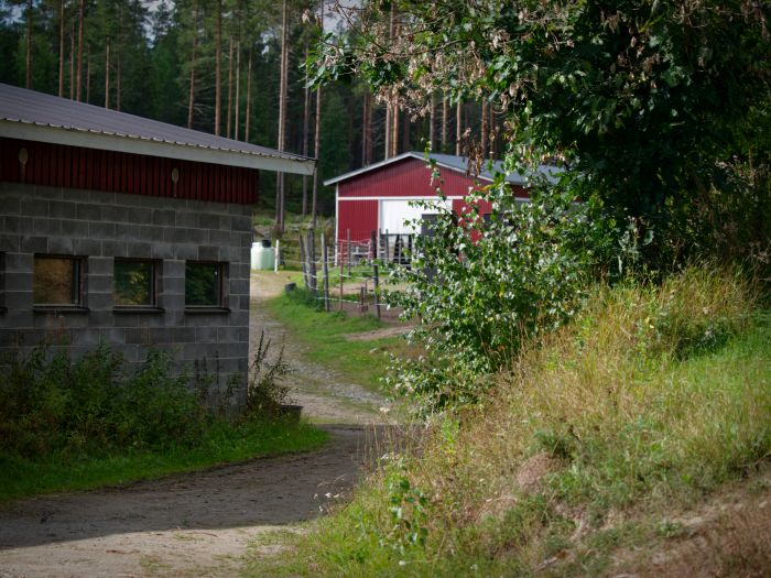 North Karelia's magic