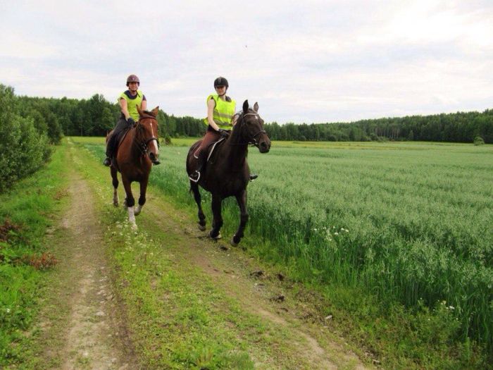 Riding and feel at Ease in the Saimaa Lake District
