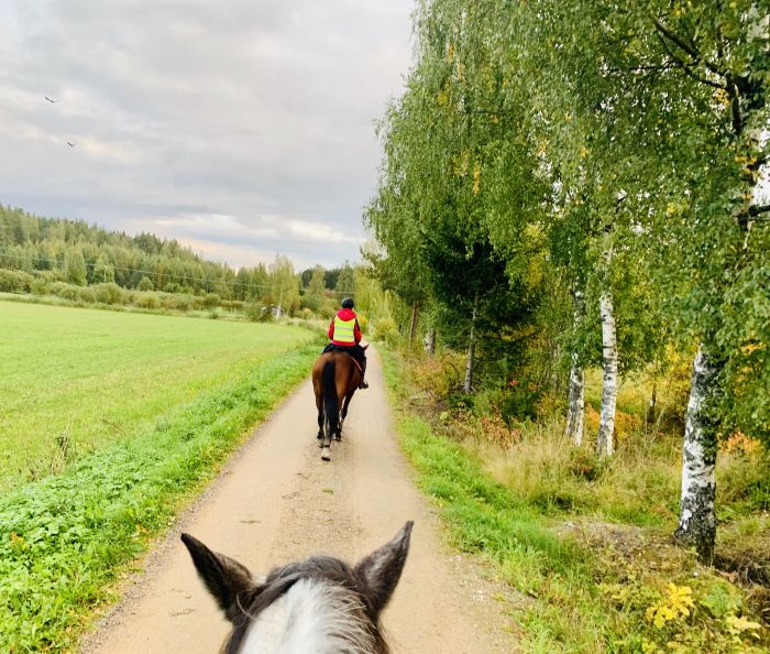 Riding and feel at Ease in the Saimaa Lake District