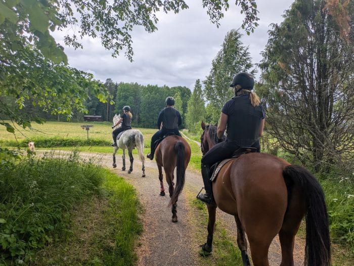 Riding and feel at Ease in the Saimaa Lake District