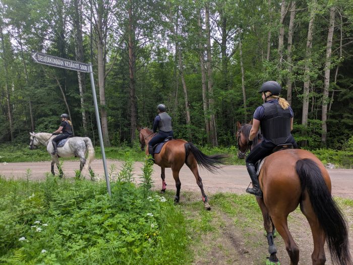 Riding and feel at Ease in the Saimaa Lake District