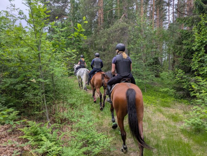 Riding and feel at Ease in the Saimaa Lake District