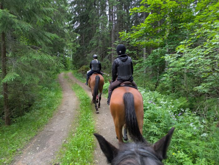 Riding and feel at Ease in the Saimaa Lake District