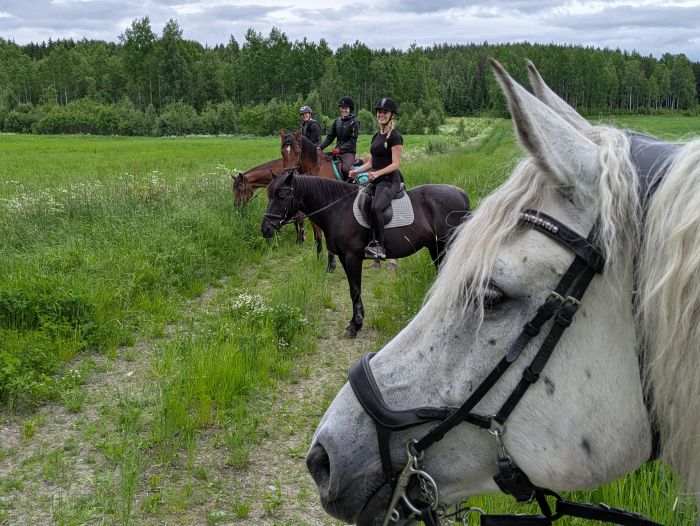 Riding and feel at Ease in the Saimaa Lake District
