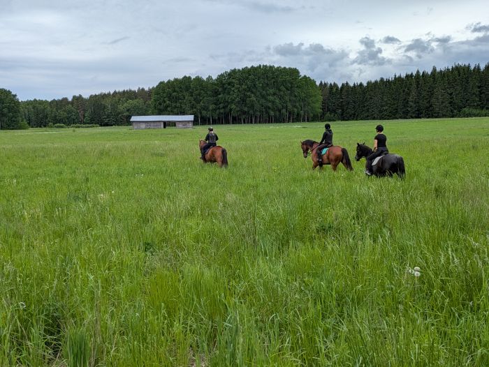 Riding and feel at Ease in the Saimaa Lake District