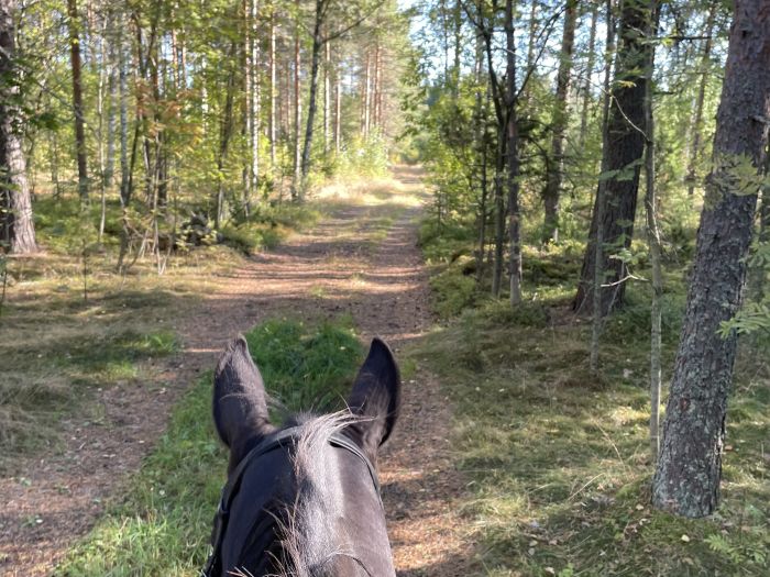 Riding and feel at Ease in the Saimaa Lake District