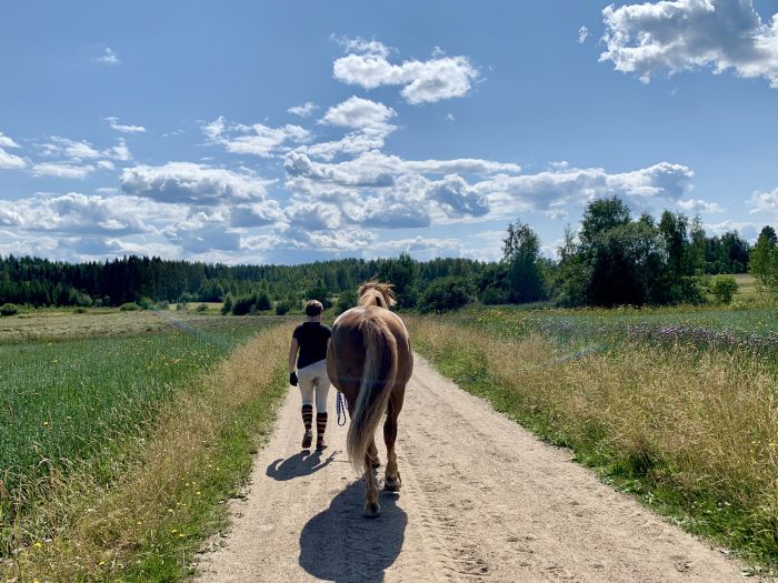 Riding and feel at Ease in the Saimaa Lake District
