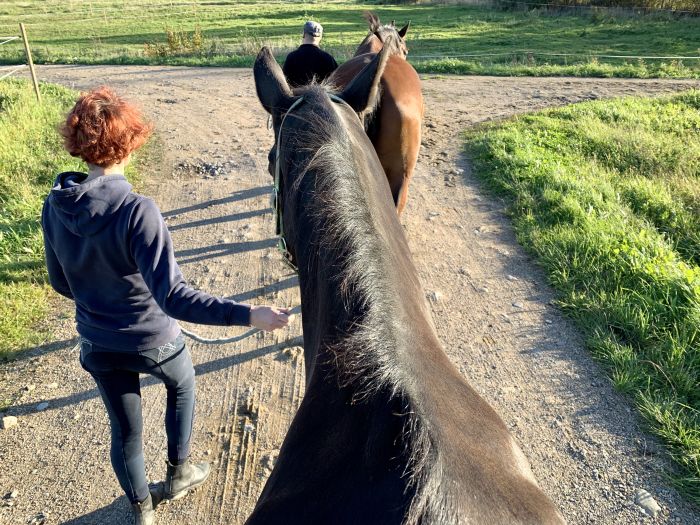 Riding and feel at Ease in the Saimaa Lake District
