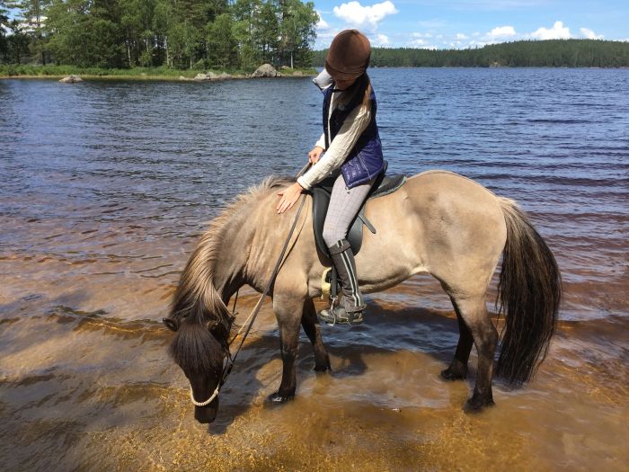 Active relaxation in southern Sweden