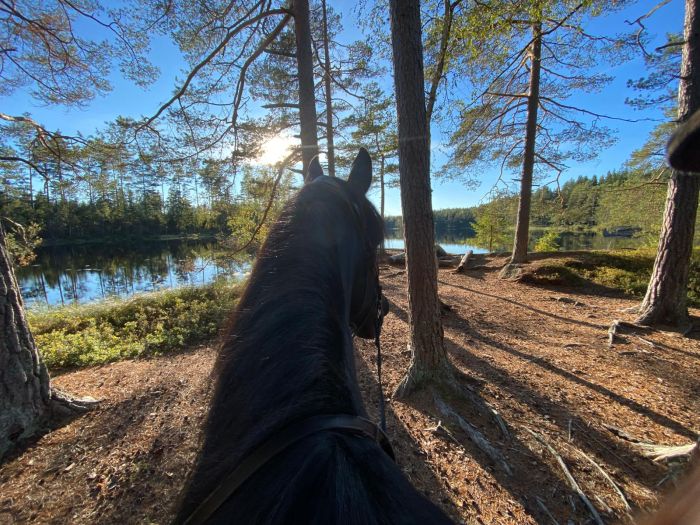 Active relaxation in southern Sweden