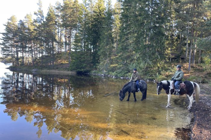 Active relaxation in southern Sweden