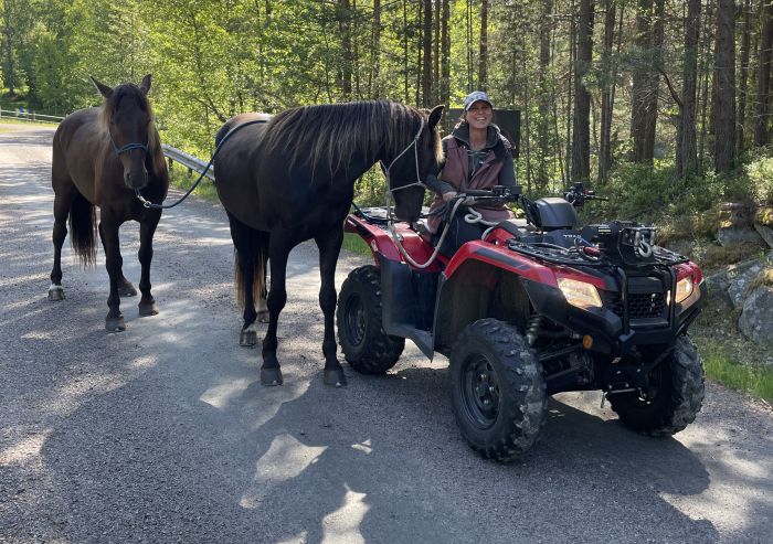 Active relaxation in southern Sweden