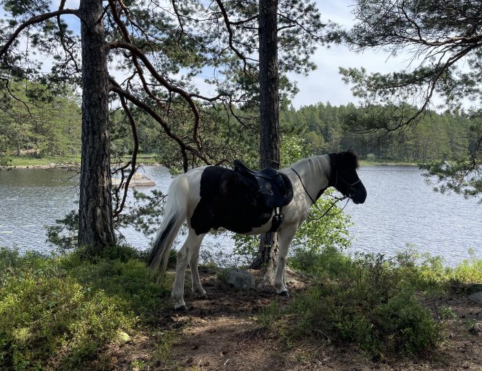 Active relaxation in southern Sweden