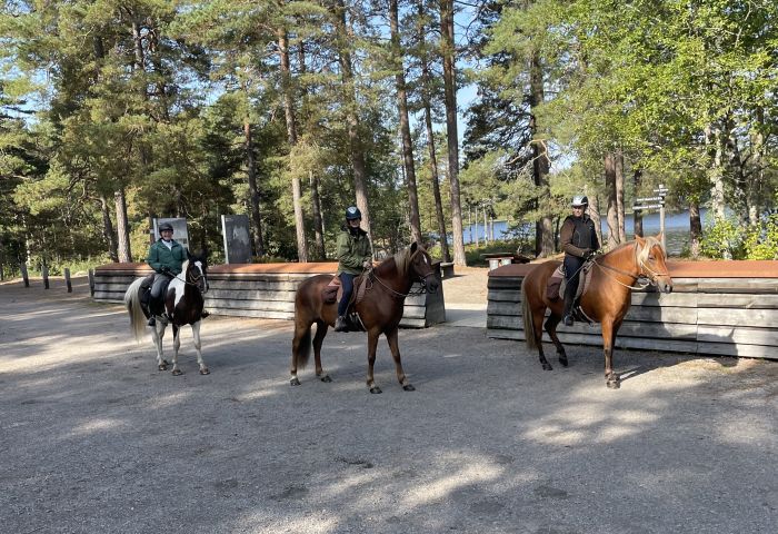 Active relaxation in southern Sweden