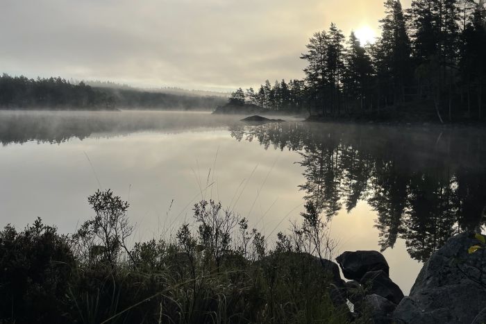 Active relaxation in southern Sweden