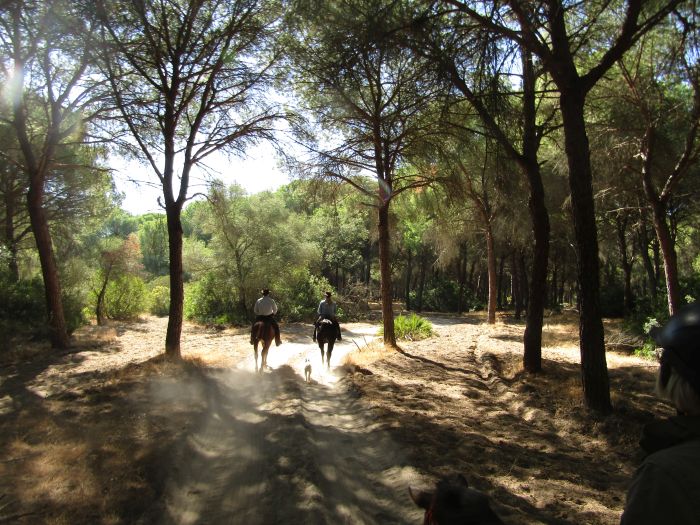 Coto de Doñana Trail
