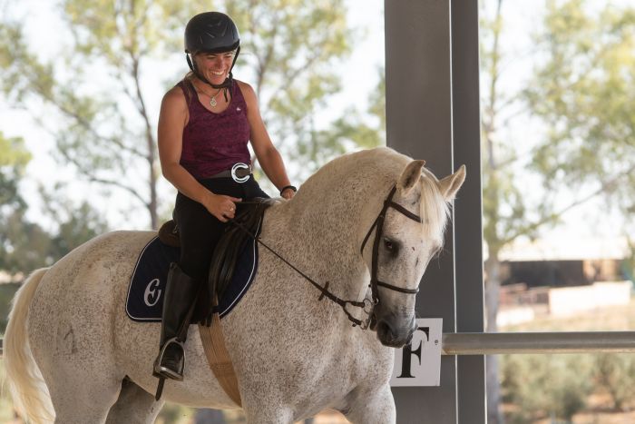 Intensive Dressage Program in Sevilla