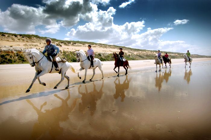 Dressage & Trailrides Sevilla