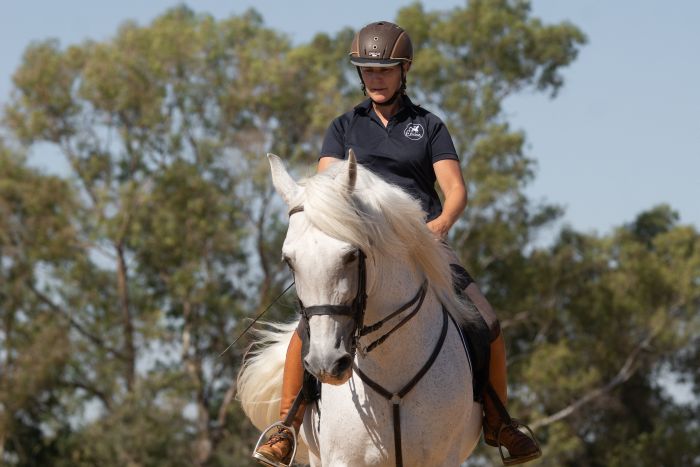 Dressage & Trailrides Sevilla