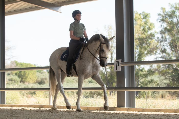 Dressage & Trailrides Sevilla